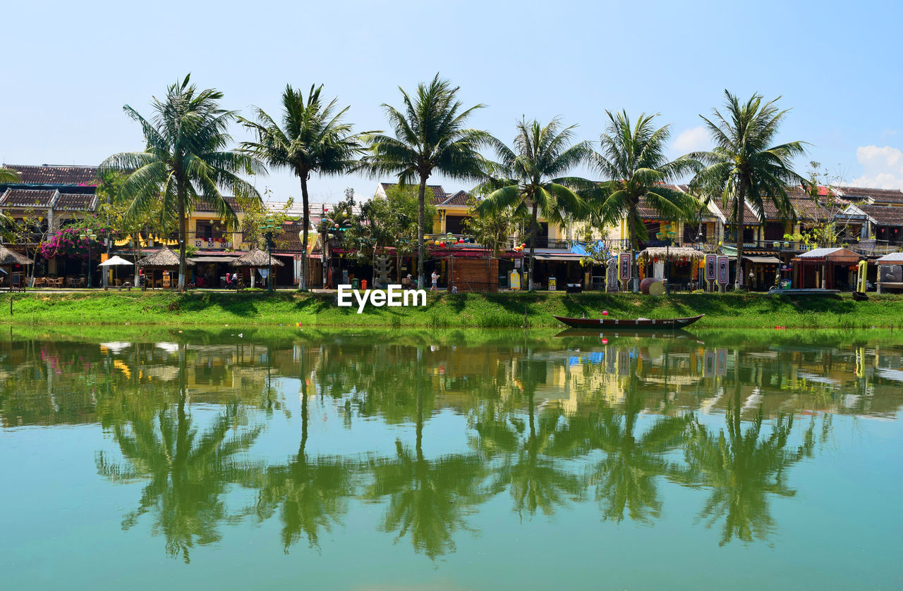 REFLECTION OF TREES AND PLANTS IN LAKE