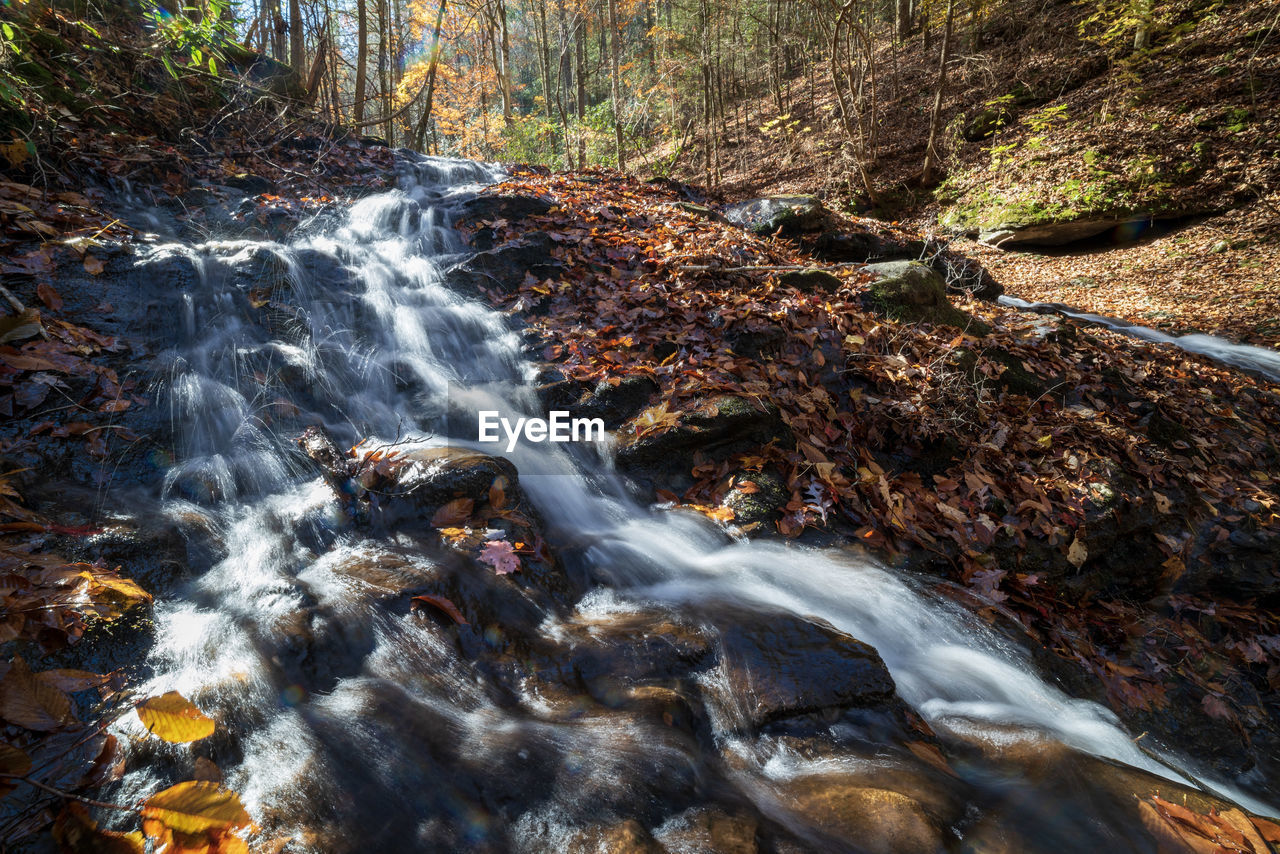 VIEW OF WATERFALL