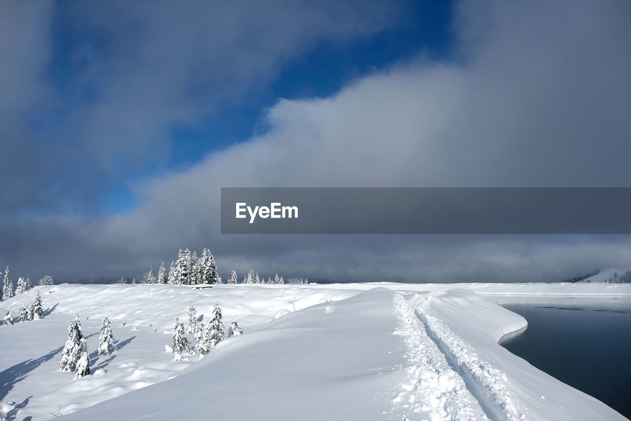 Backcountry skiing track in deep snow along the lake. snow covered christmas trees. sunny and clouds