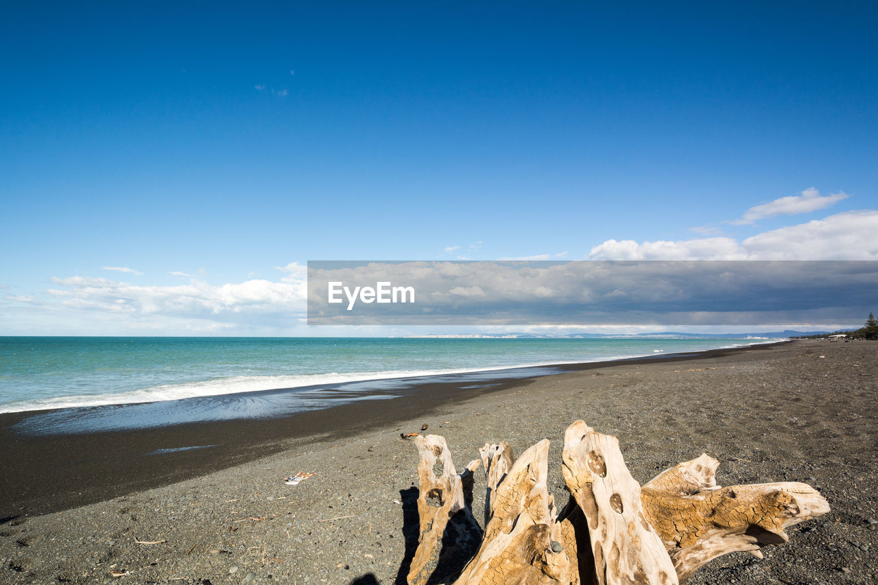 Driftwood on sea shore against sky