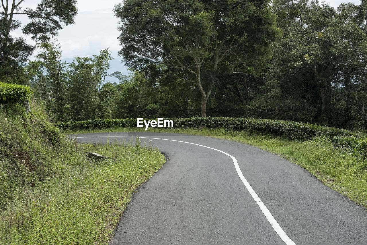 Climbing and winding road in tea garden