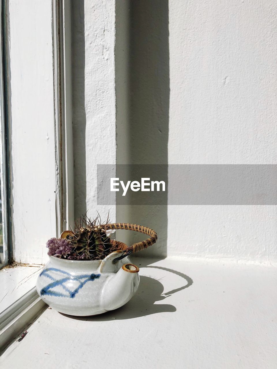 POTTED PLANT ON TABLE BY WINDOW