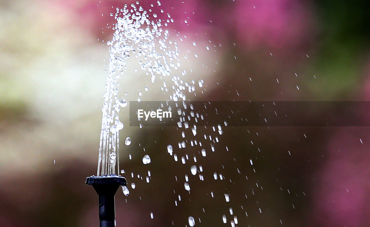 Close-up of water fountain at park