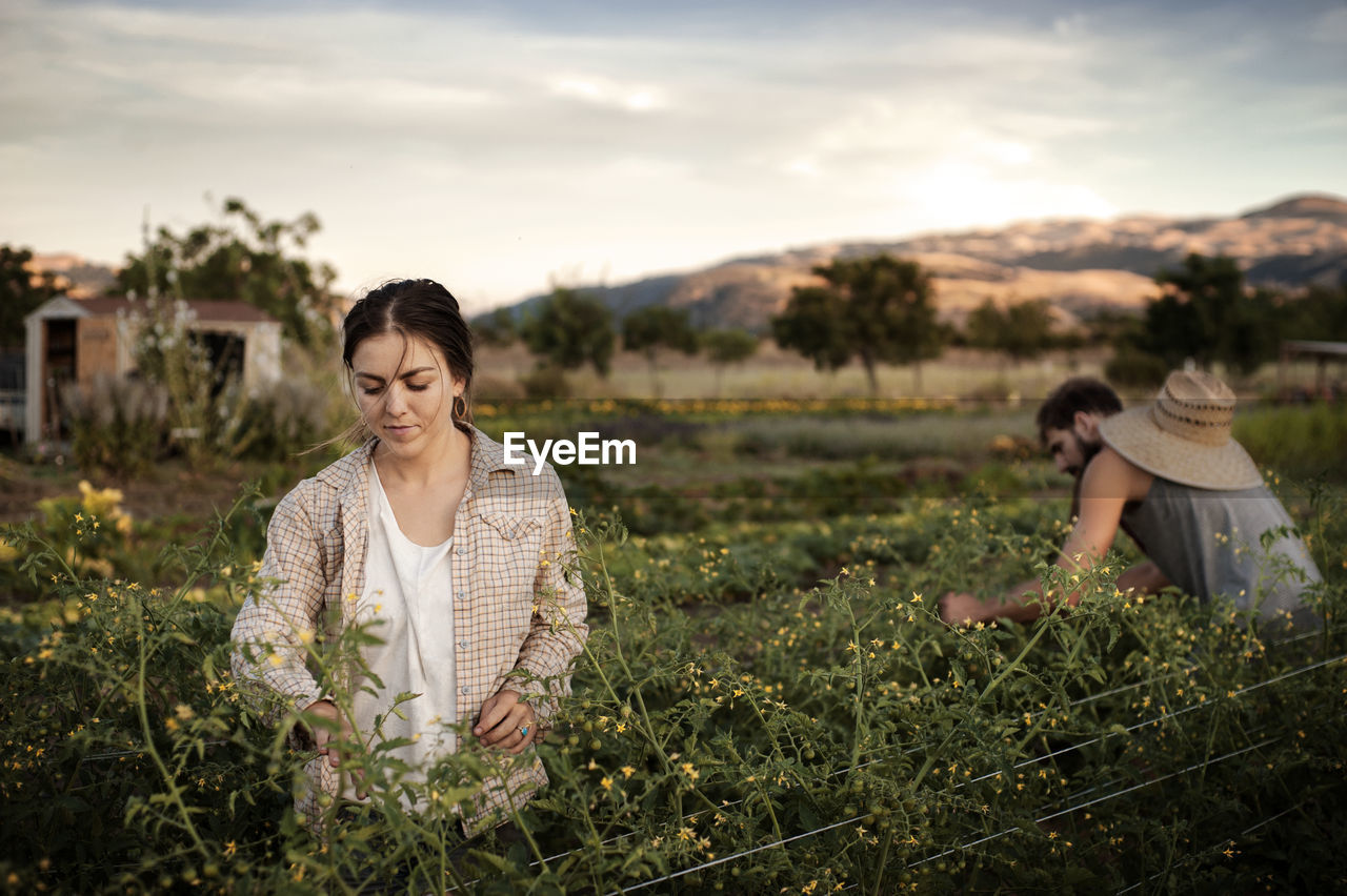 Male and female farmers working on field