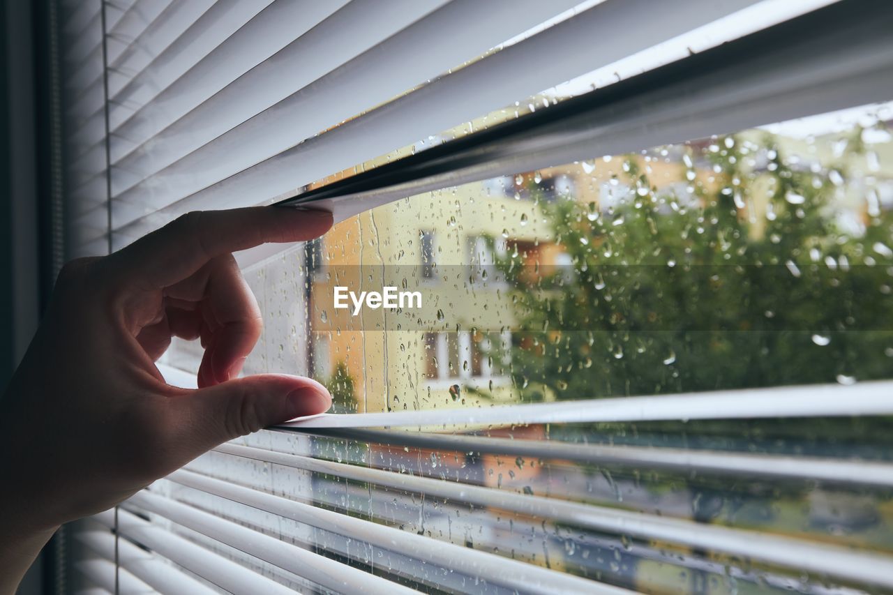 Cropped hand of person holding window blinds while looking outdoors