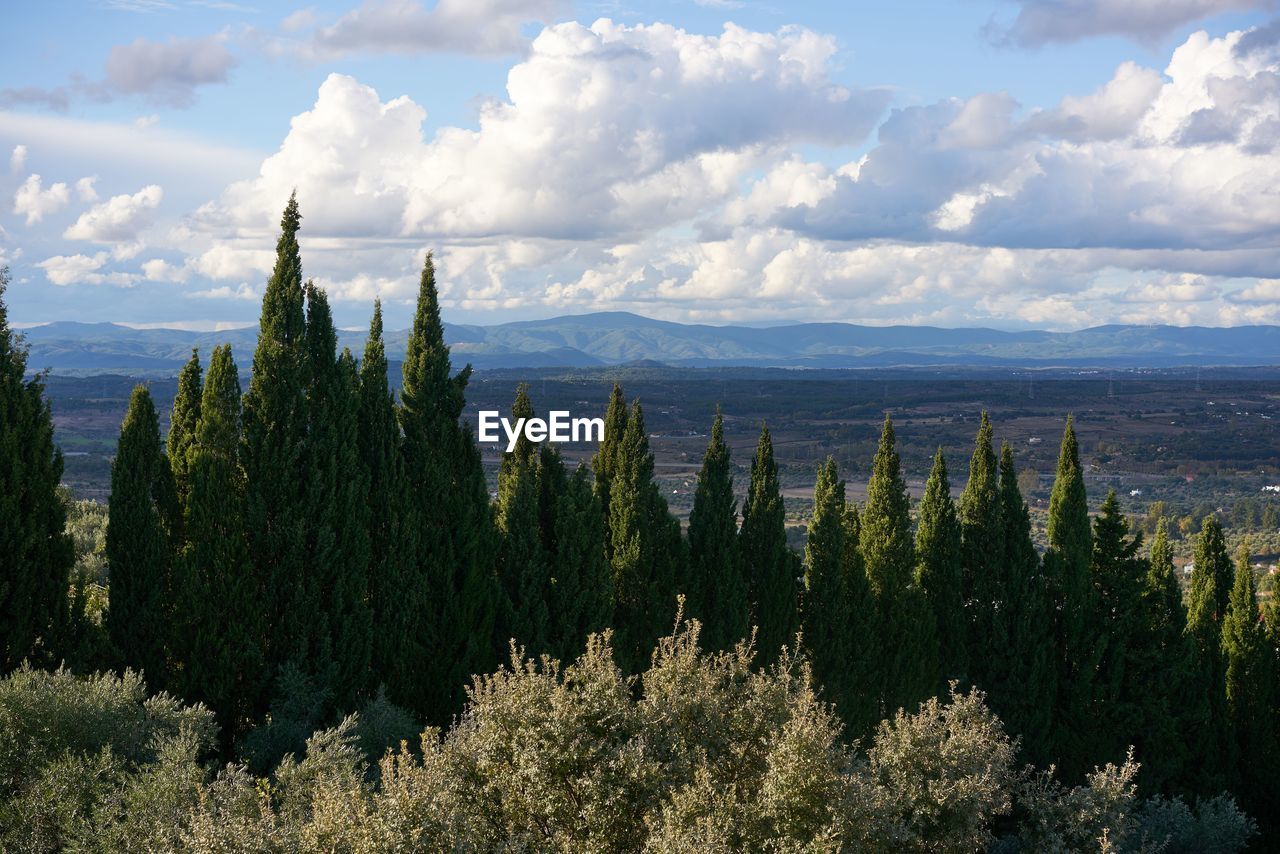 Landscape view of mountains around castelo branco seen from the castle, in portugal
