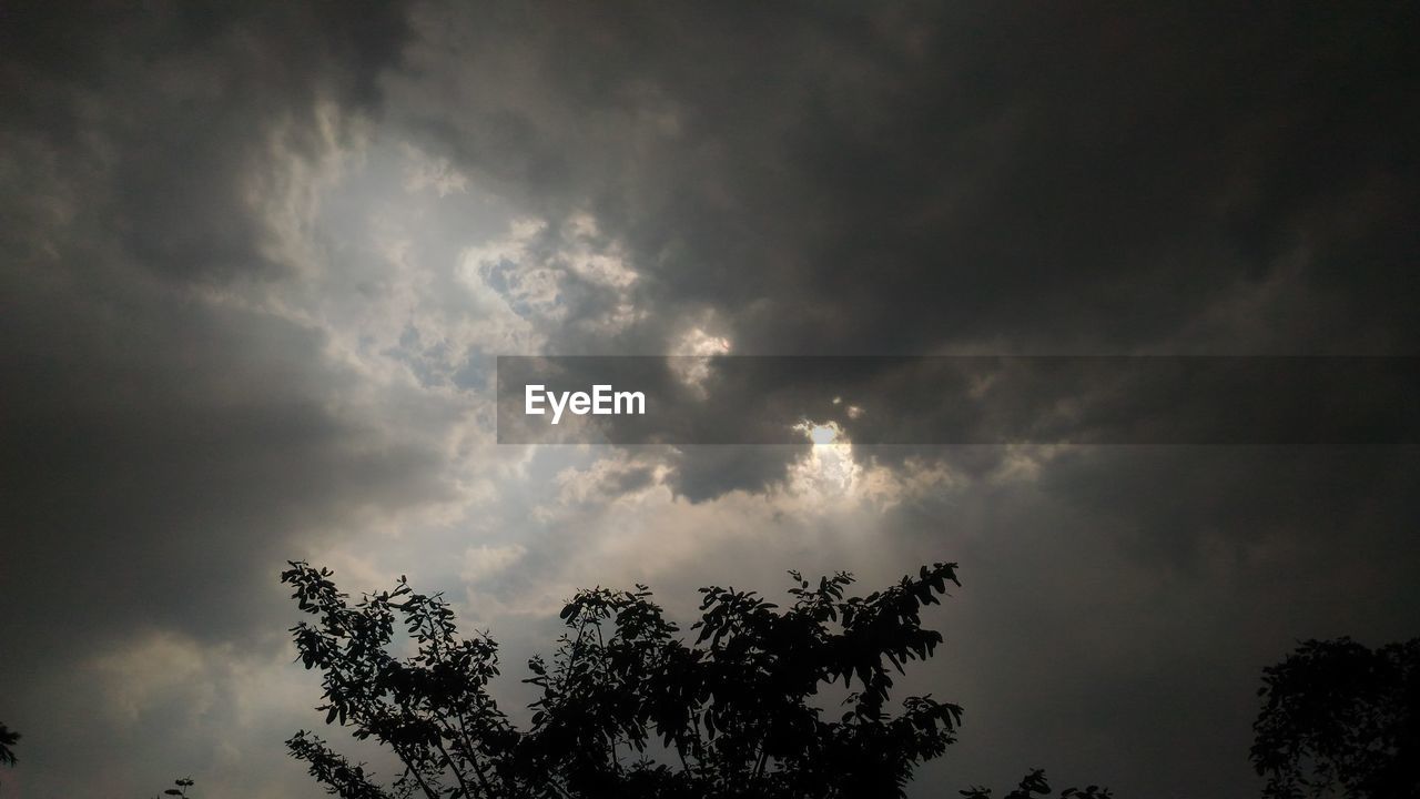 LOW ANGLE VIEW OF SILHOUETTE TREE AGAINST SKY