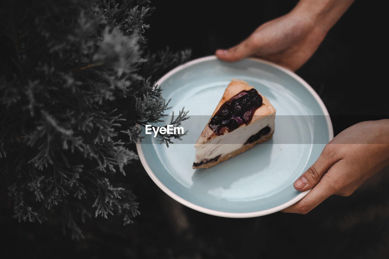 Cropped hands of person holding cake slice in plate by plant over black background