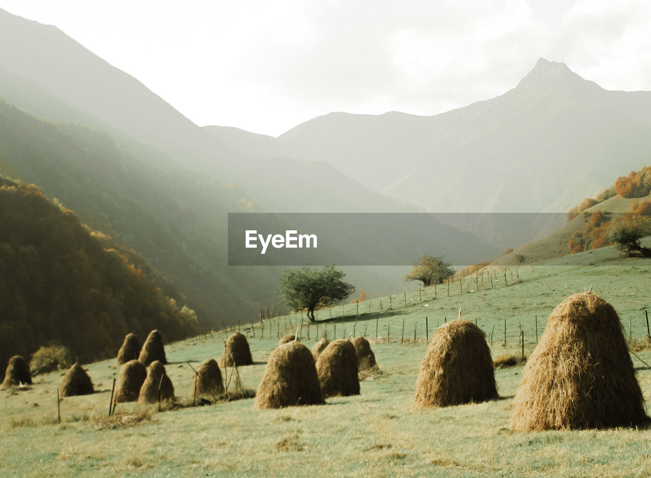 Hay bales on field against sky