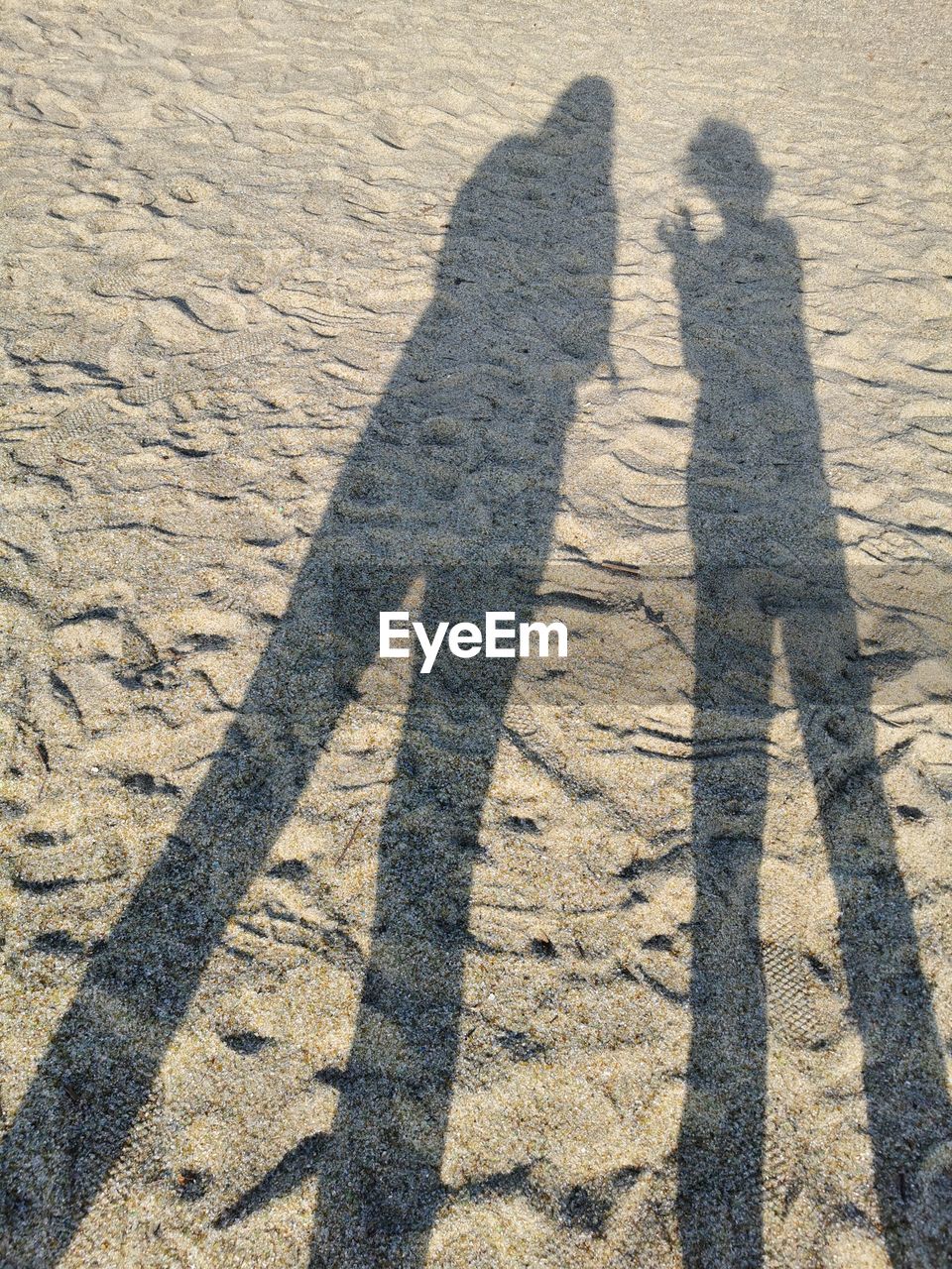 HIGH ANGLE VIEW OF SHADOW OF PEOPLE ON STREET