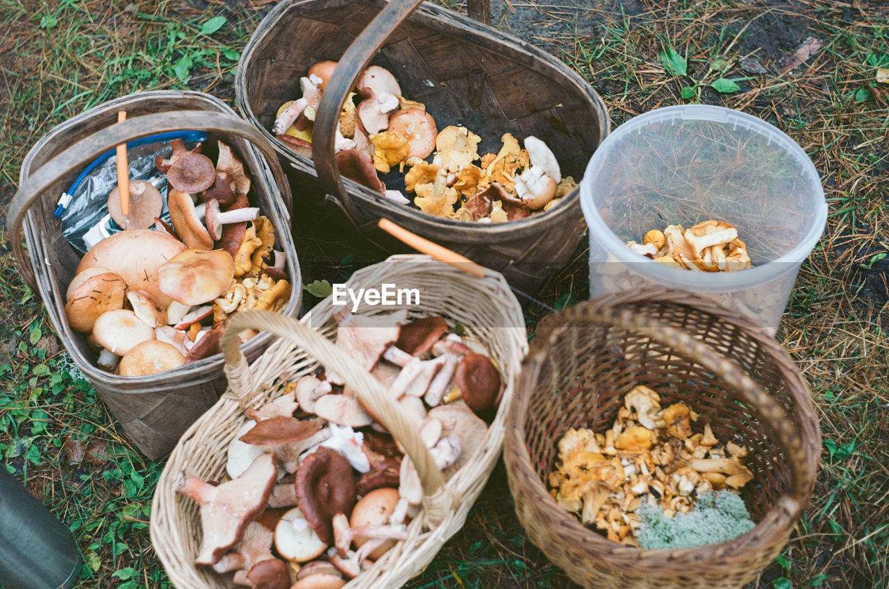 High angle view of mushrooms in basket