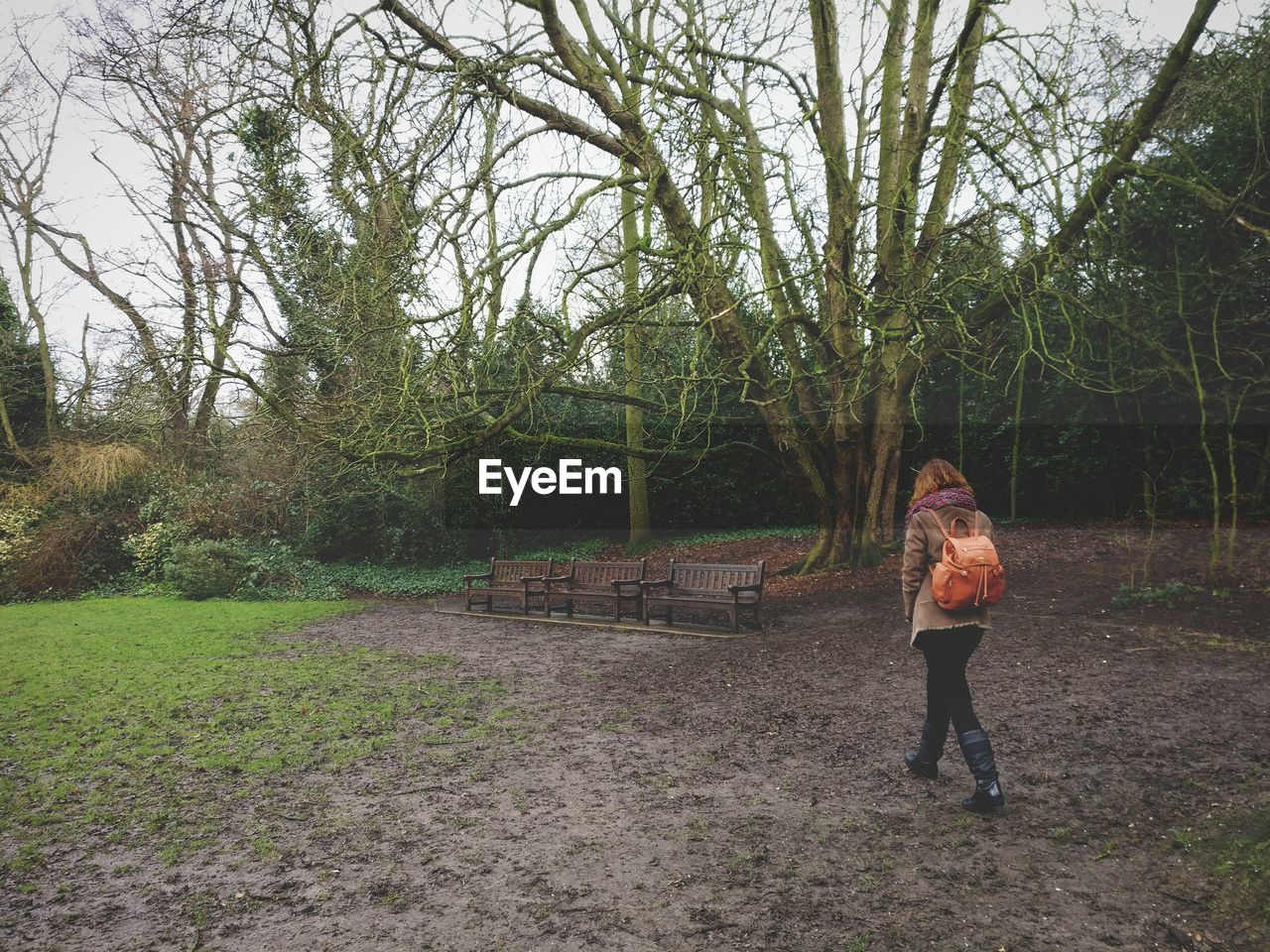 REAR VIEW OF WOMAN WALKING ON FOOTPATH BY TREES