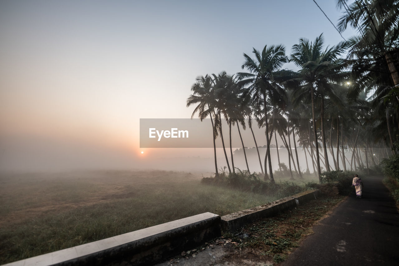 SCENIC VIEW OF PALM TREES AGAINST SKY AT SUNSET