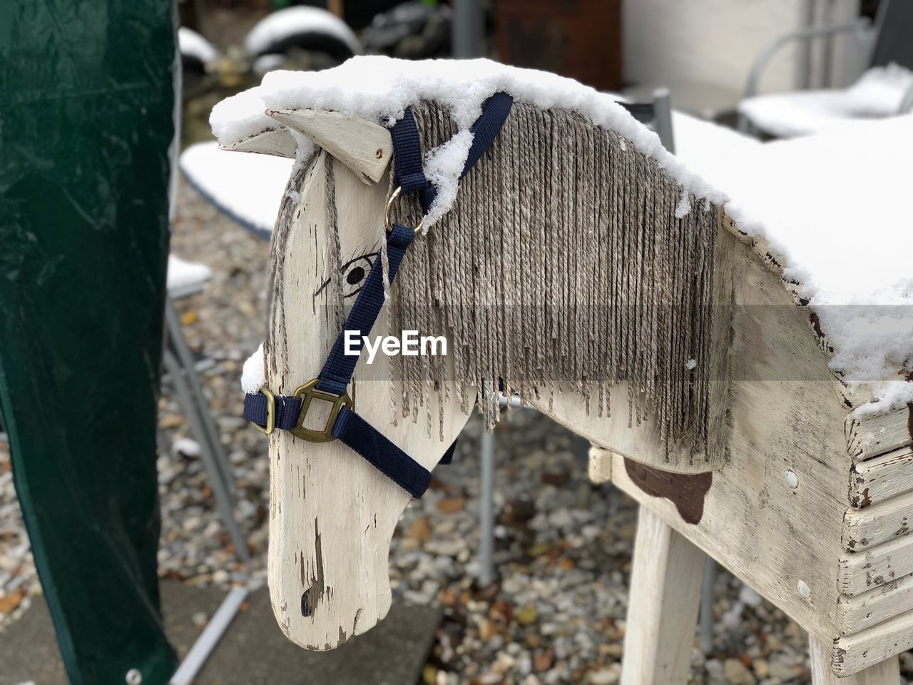 CLOSE-UP OF A HORSE