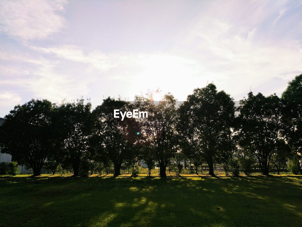 TREES ON LANDSCAPE AGAINST SKY