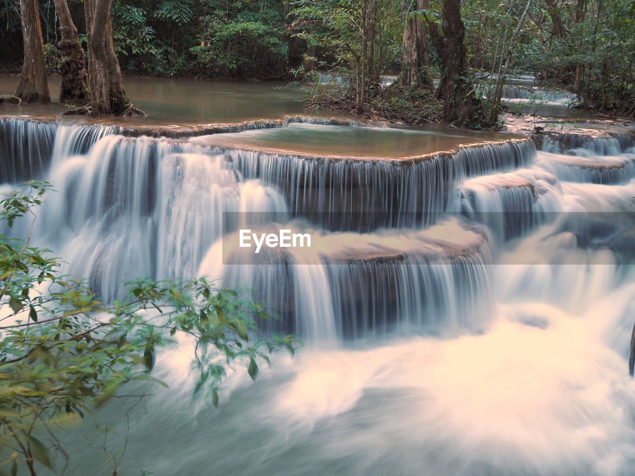 Scenic view of waterfall in forest