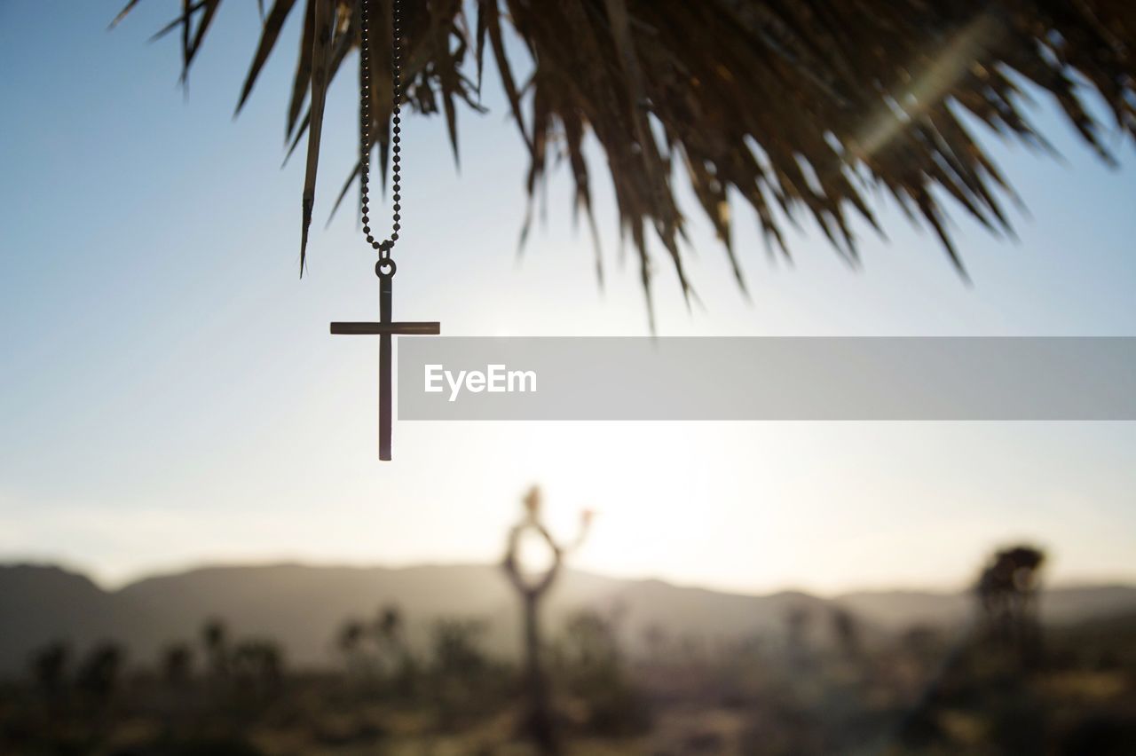 Low angle view of chain with cross hanging from palm tree
