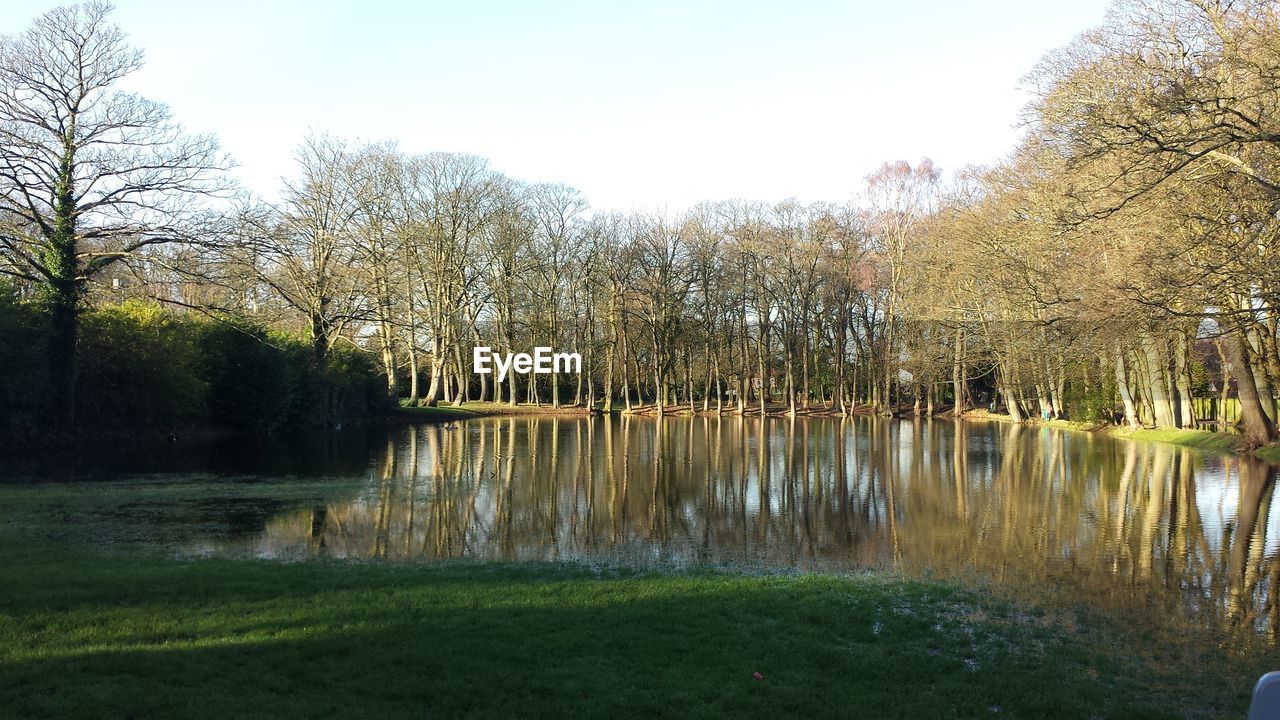 Scenic view of calm lake by trees