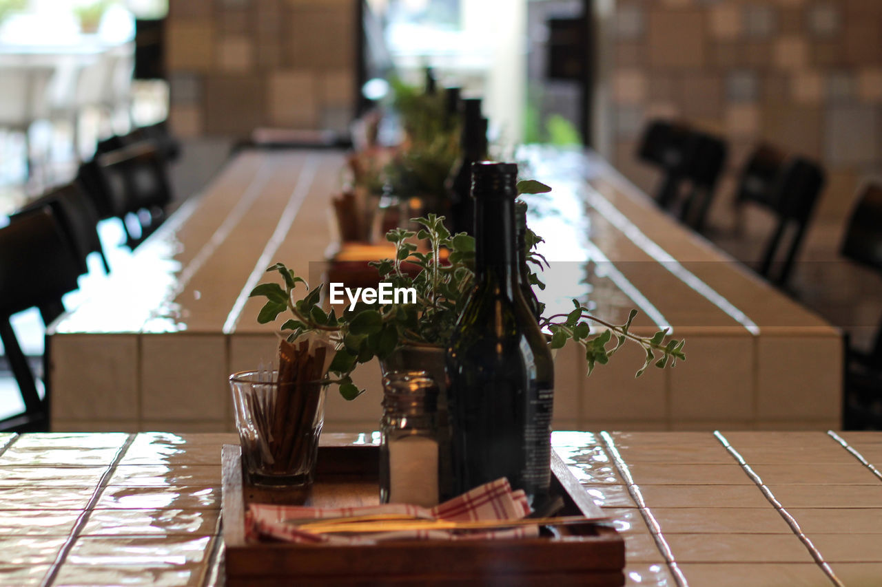 Close-up of bottle with plant in serving tray on table at restaurant