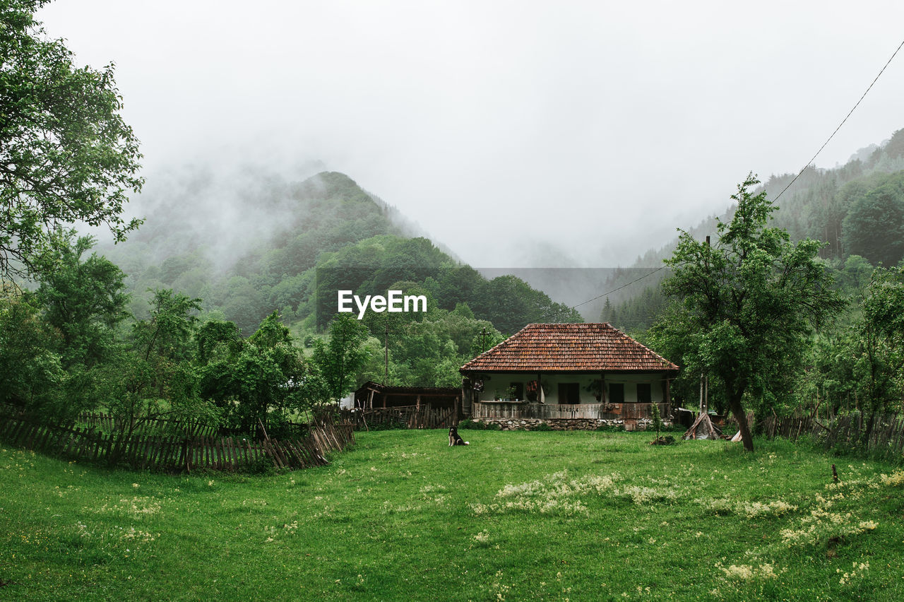 HOUSE ON FIELD BY TREES AND MOUNTAINS