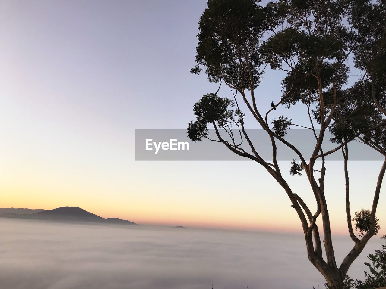 Scenic view of sea against clear sky at sunset