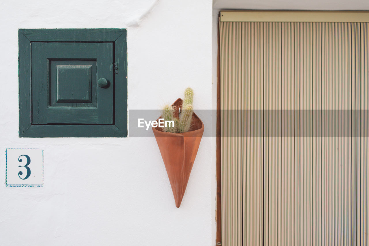 Potted plant on wall