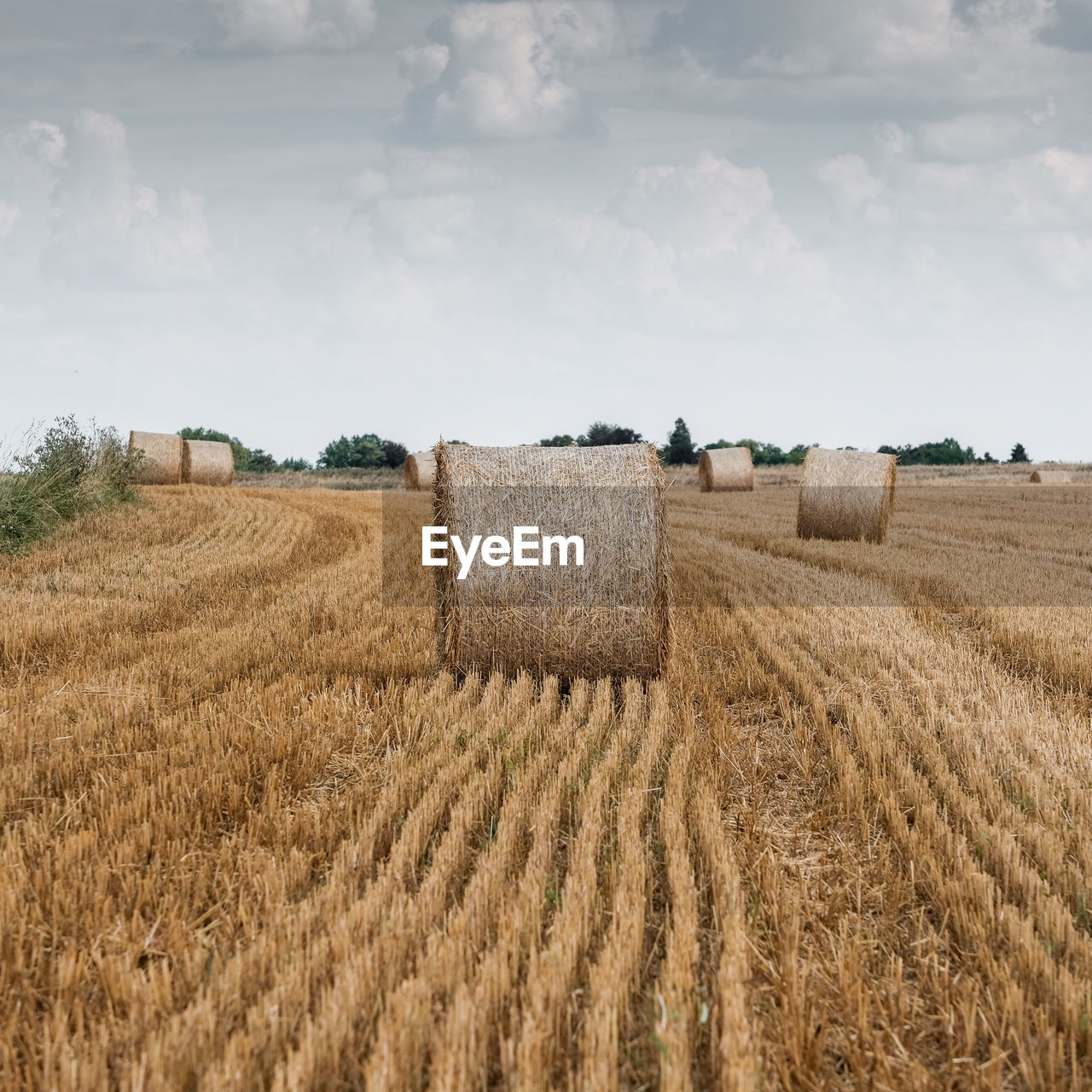 Hay bales on field against sky