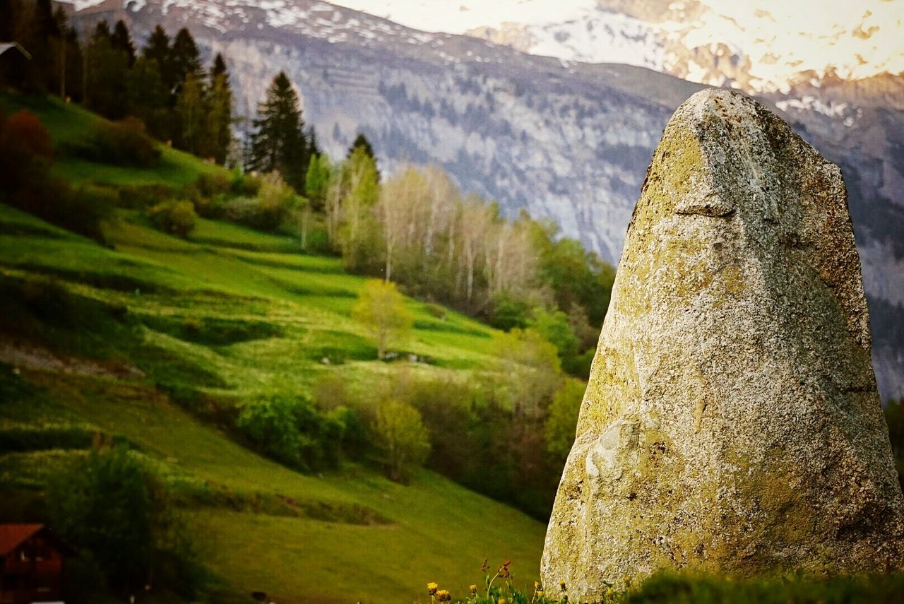 Scenic view of mountains