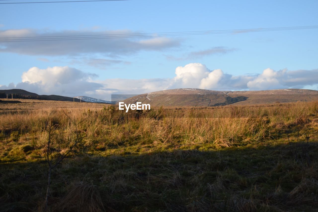 VIEW OF LANDSCAPE AGAINST SKY