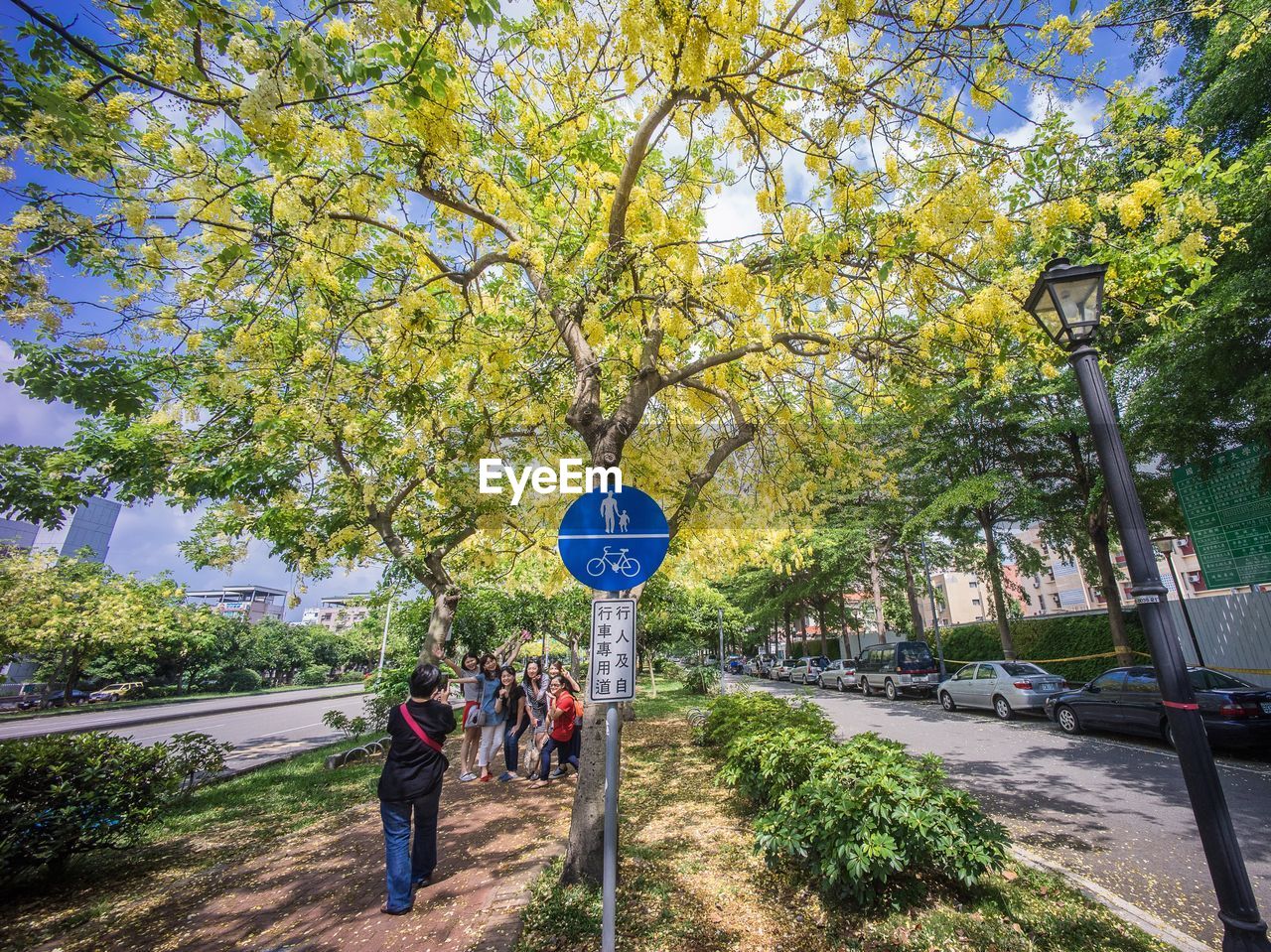 Road amidst trees in city against sky