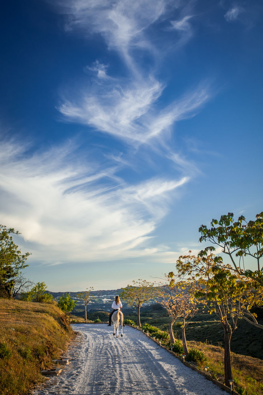 REAR VIEW OF PEOPLE WALKING ON ROAD AMIDST TREES AGAINST SKY