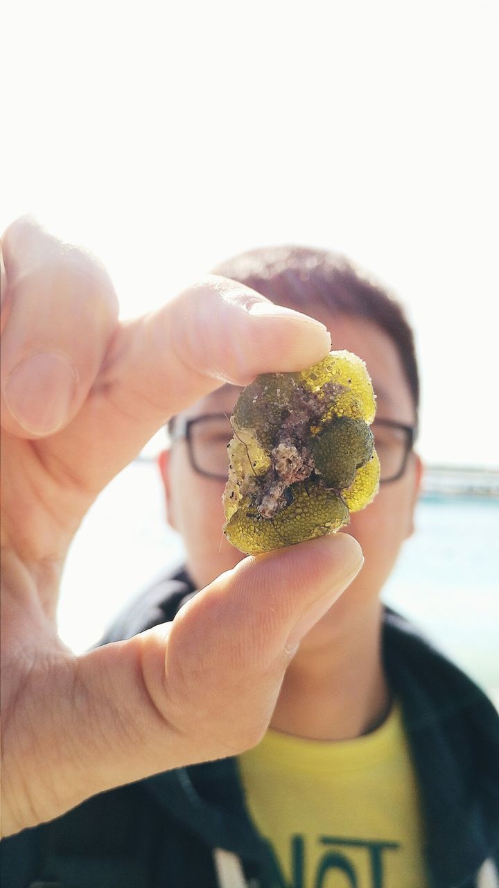 Close-up of boy holding coral against clear sky