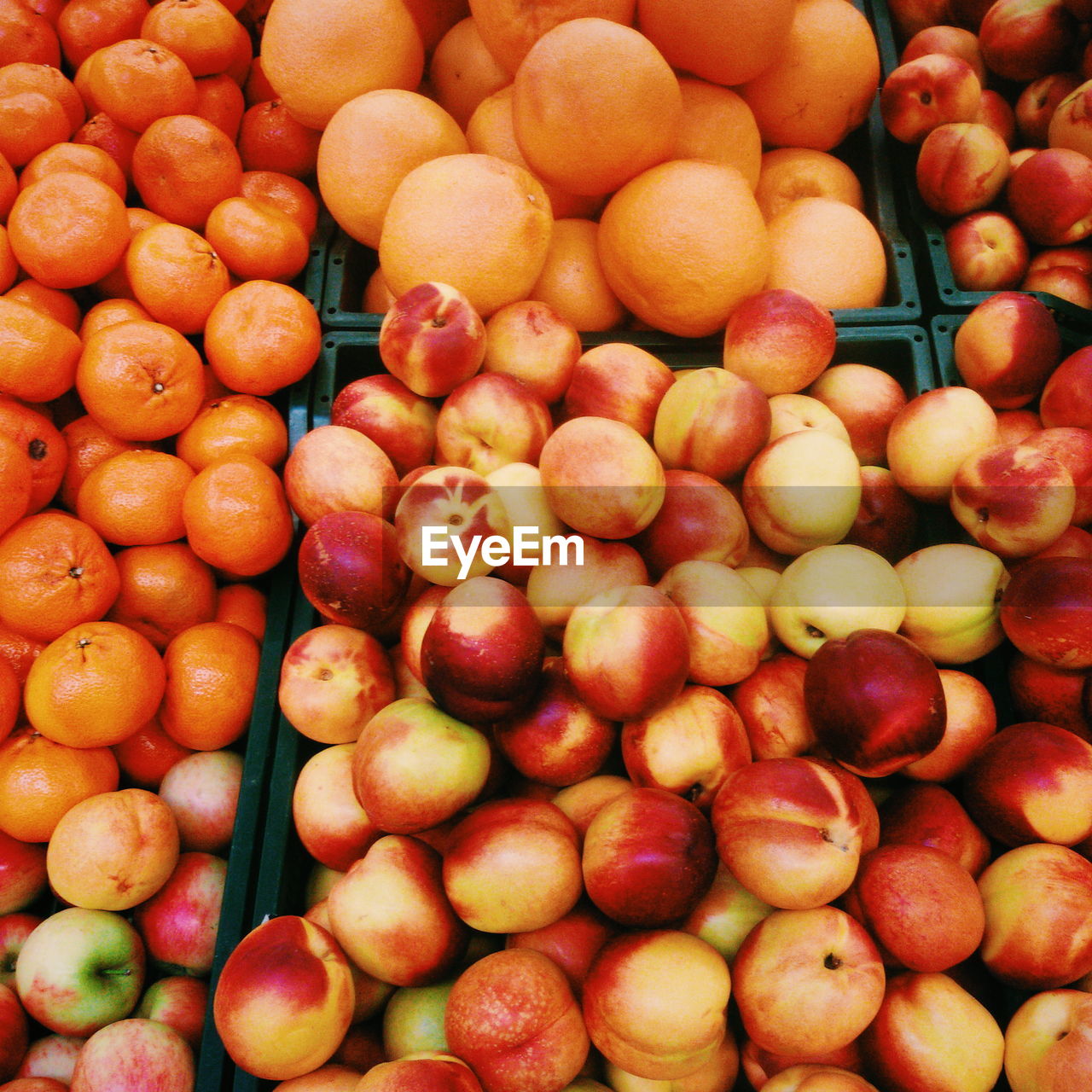 High angle view of fruits for sale at market stall