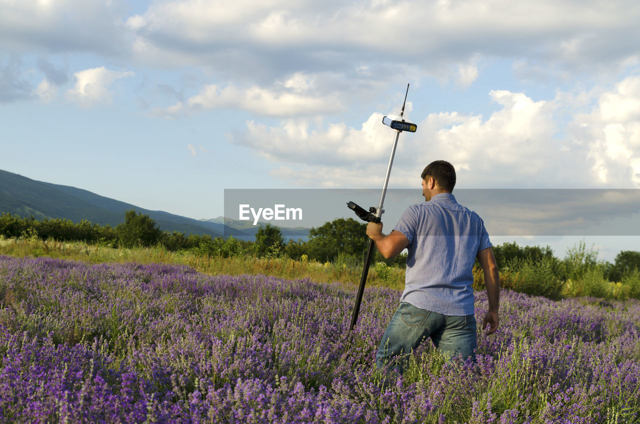 Rear view of surveyor using equipment on lavender field against cloudy sky