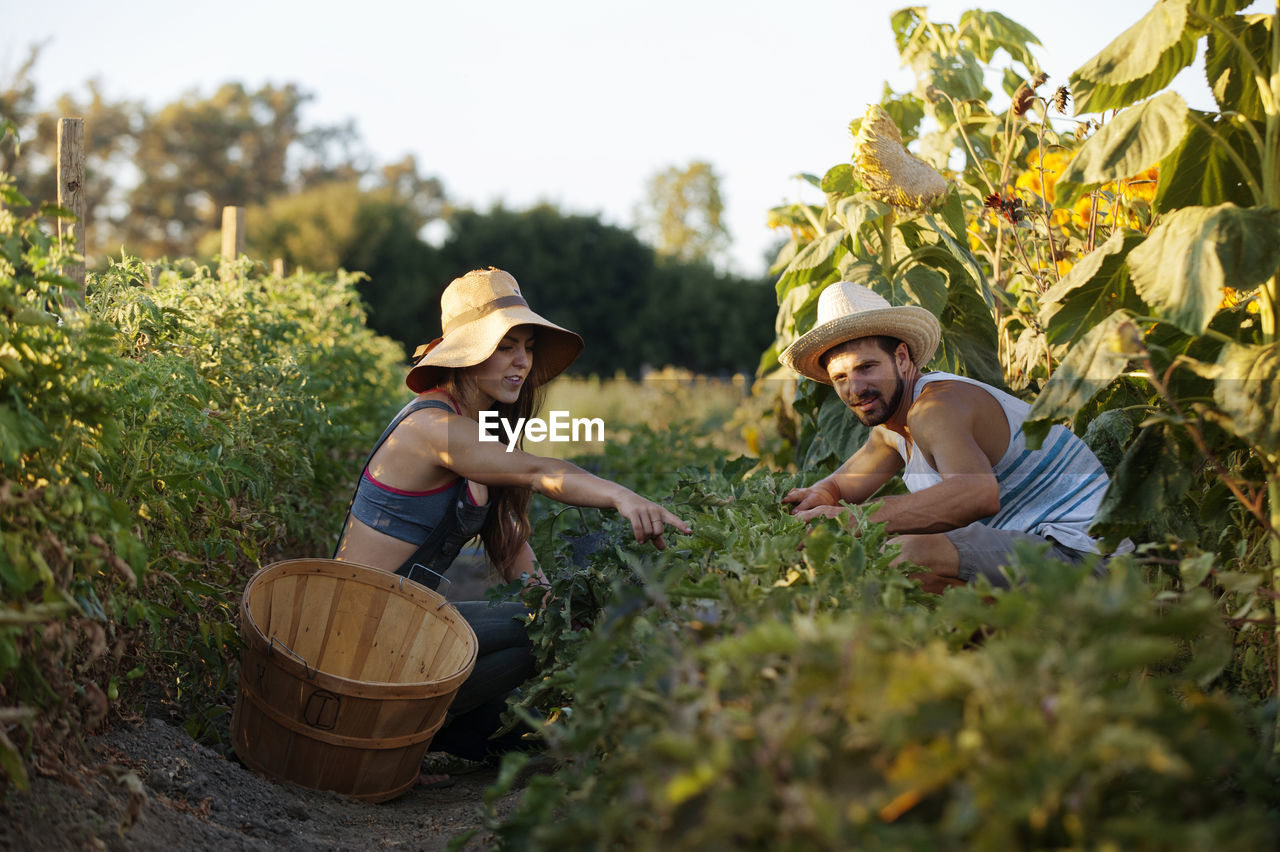 Woman showing plants to man while working in farm