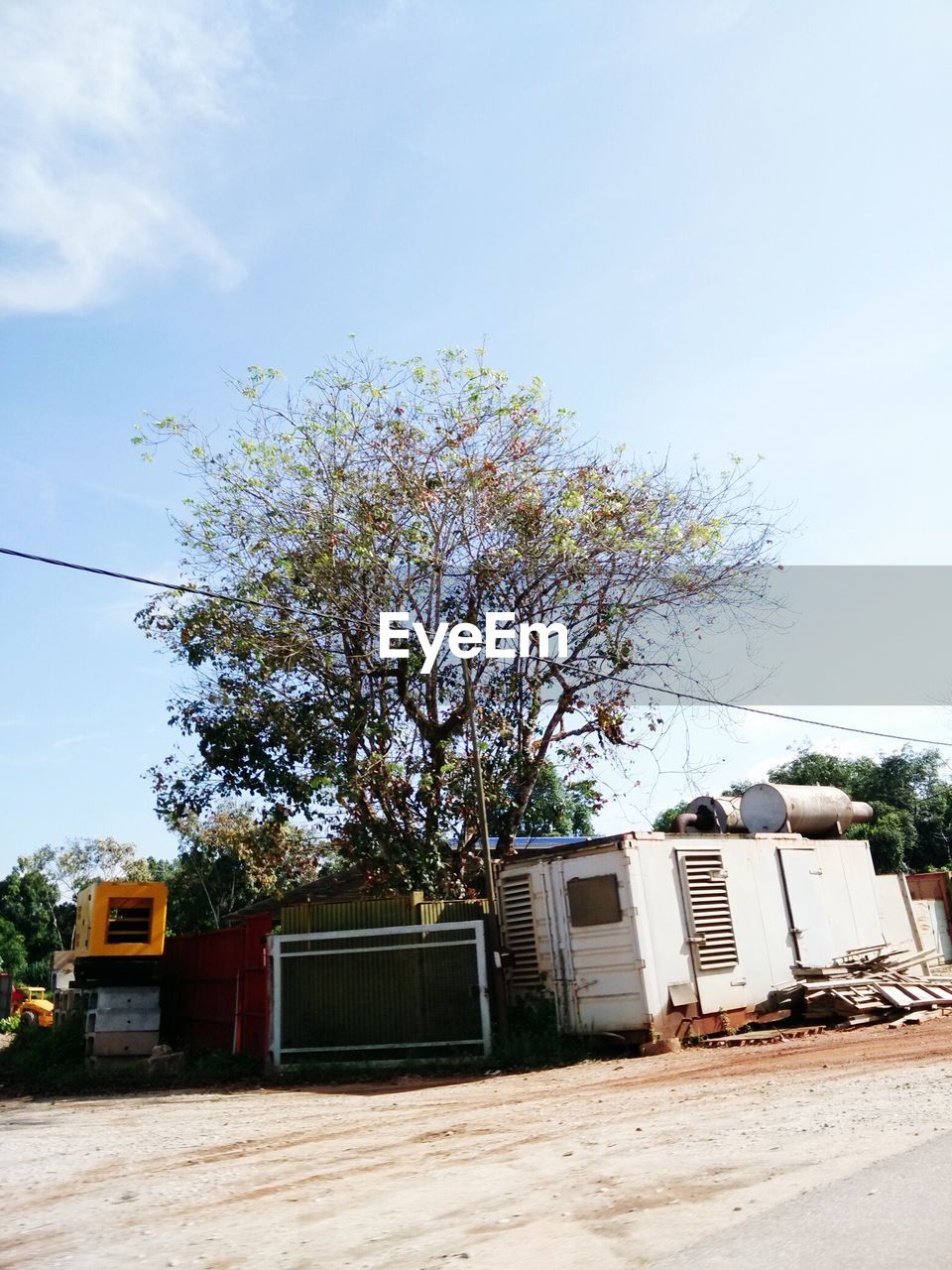 TREE AGAINST BUILT STRUCTURE