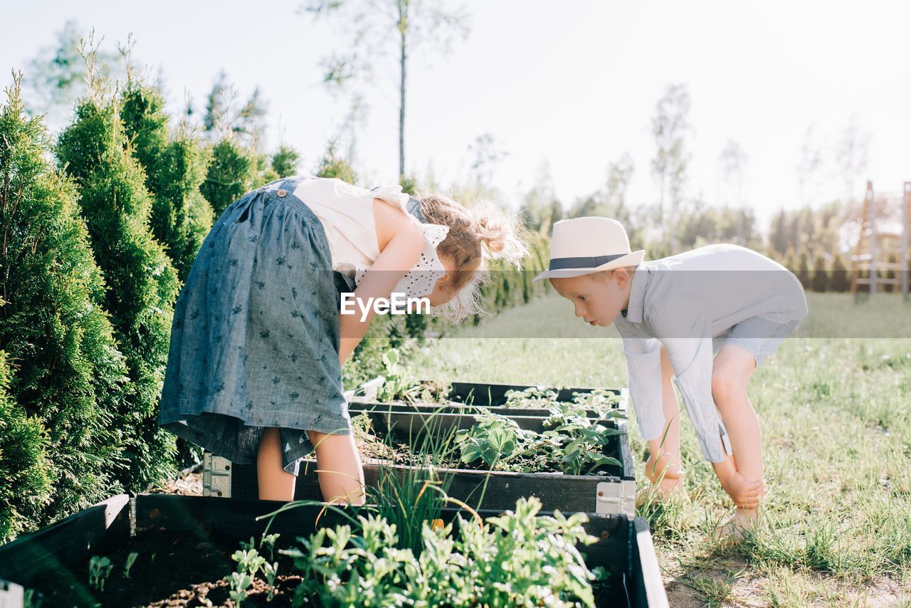 Siblings looking at their homegrown vegetable and fruit at home