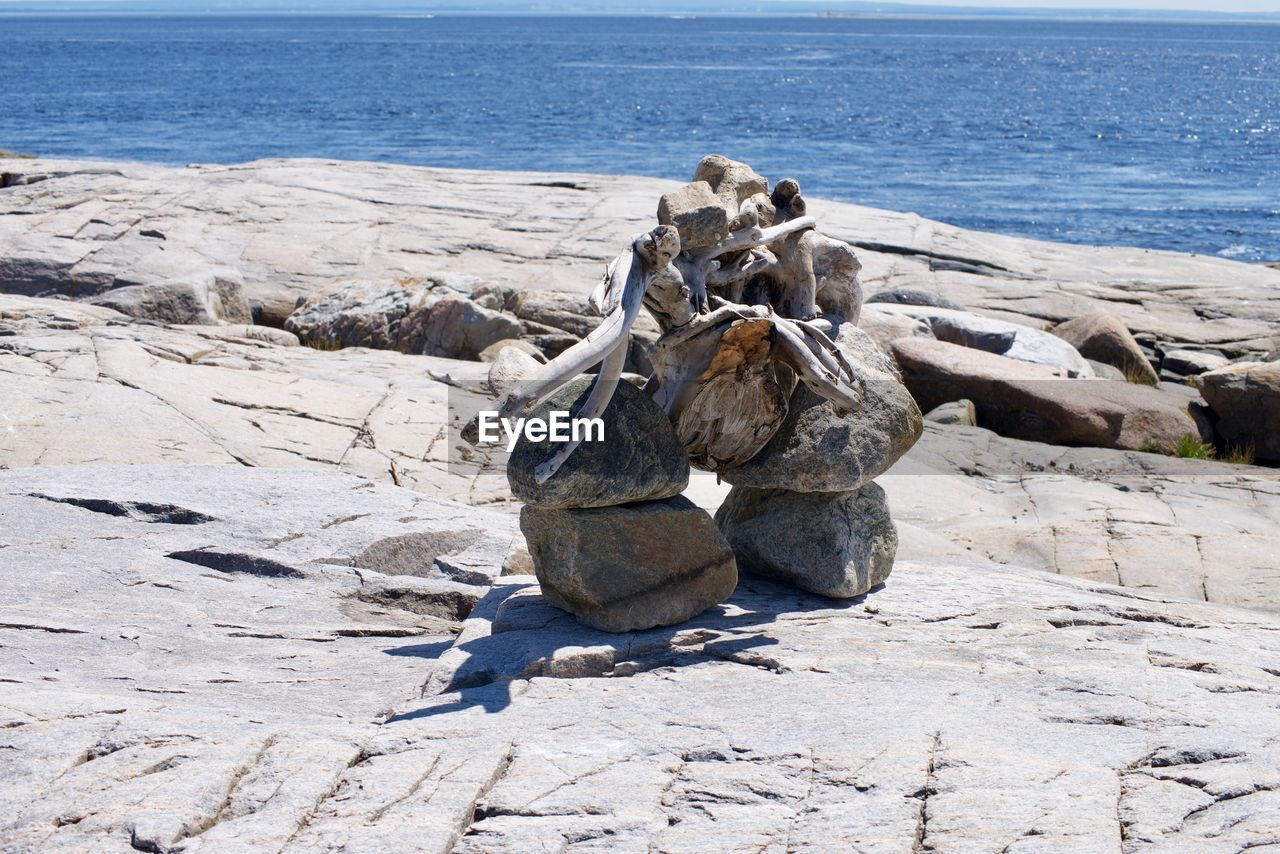 Driftwood on beach against sky