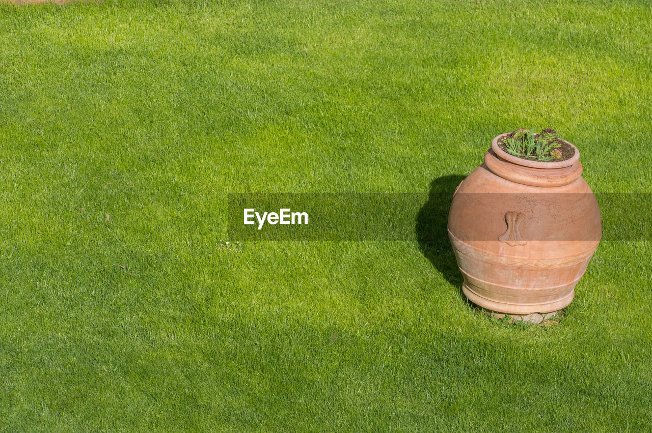 High angle view of green grass on field