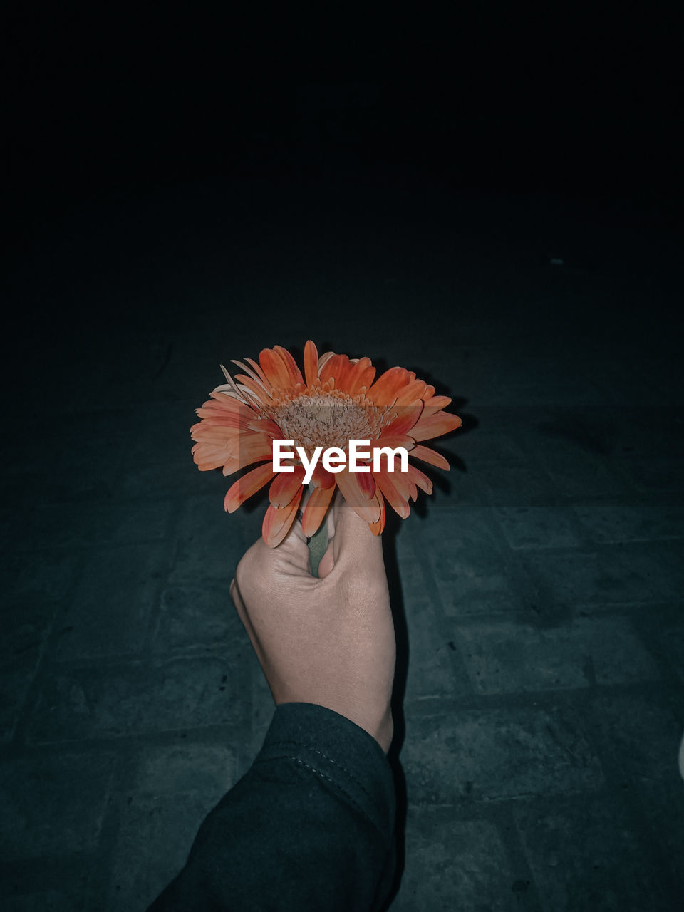 Blooming like me