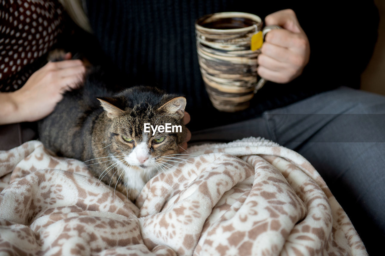 Young family couple and cat sitting at home on the couch and drinking hot tea