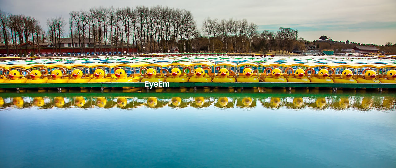 REFLECTION OF TREES IN WATER