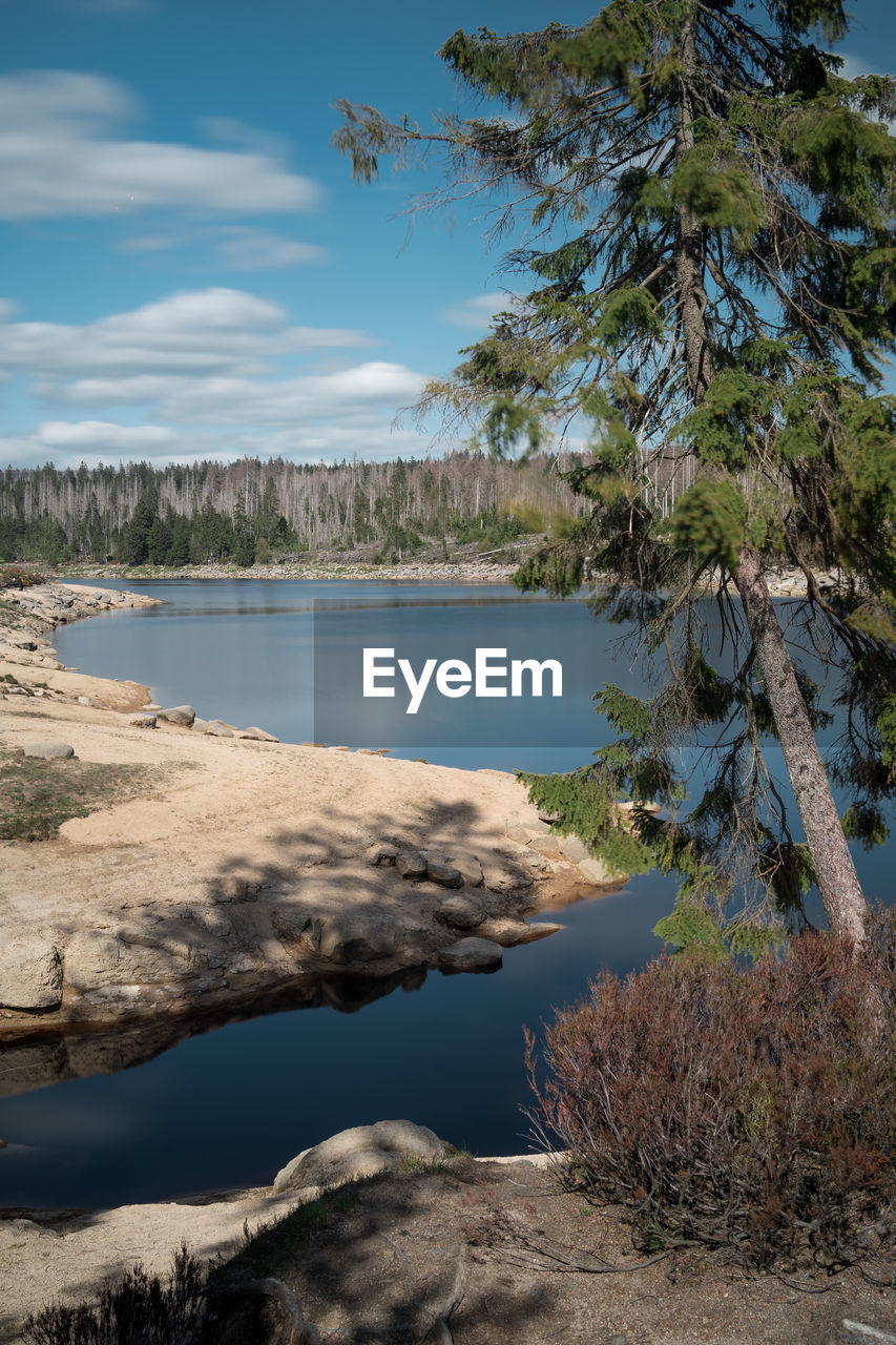 Oderteich lake, harz mountain national park 