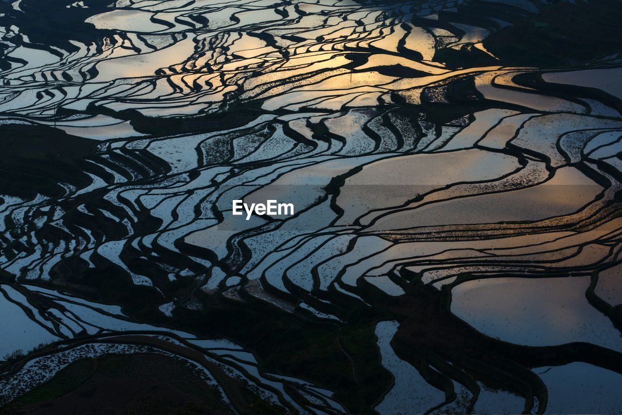 Scenic view of terraced field