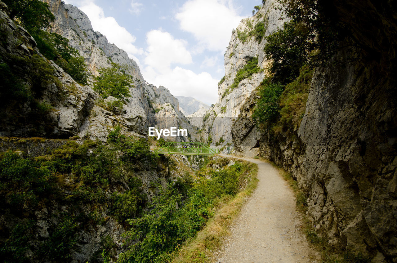 SCENIC VIEW OF MOUNTAIN ROAD