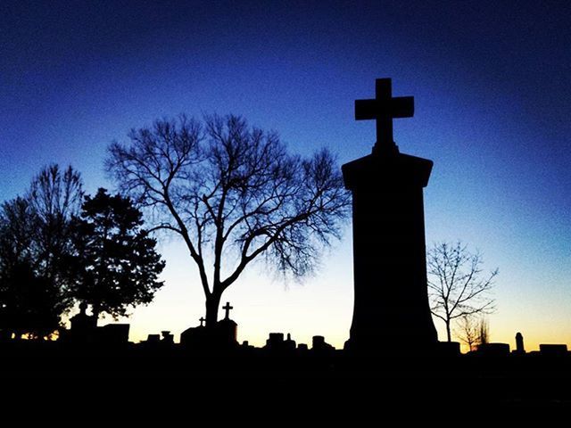 LOW ANGLE VIEW OF SILHOUETTE TREES AGAINST SKY