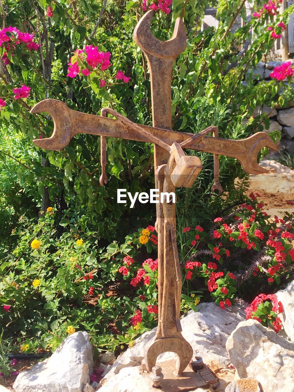 VIEW OF FLOWERING PLANTS IN GARDEN