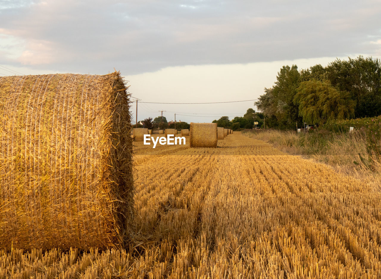 Hay bales on field against sky