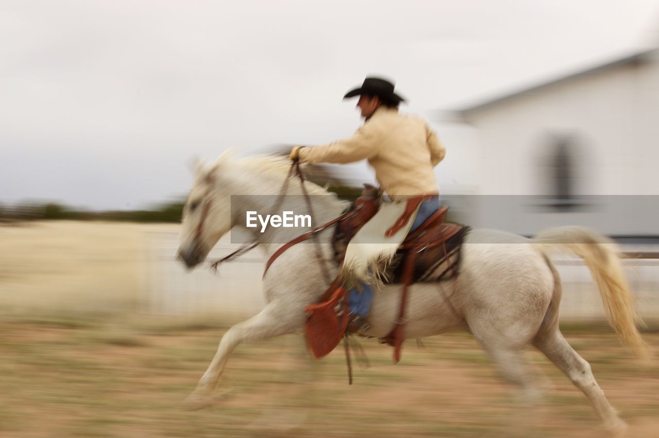 Man riding horse