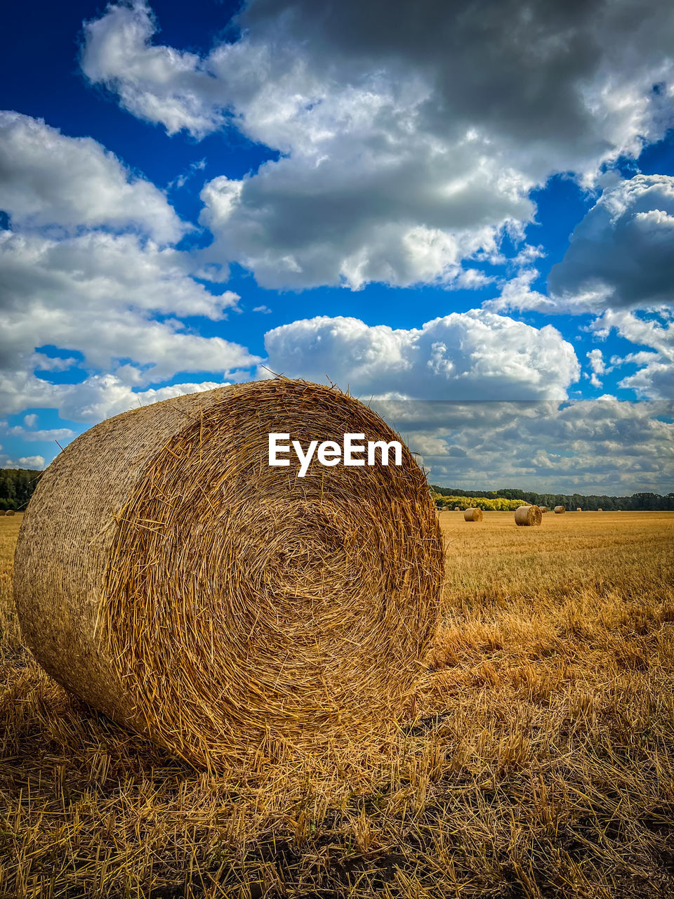 hay, bale, landscape, sky, cloud, agriculture, land, environment, field, rural scene, farm, nature, plant, harvesting, crop, scenics - nature, straw, beauty in nature, rolled up, rural area, grass, cereal plant, tranquility, tranquil scene, circle, haystack, no people, grassland, soil, geometric shape, prairie, summer, outdoors, gold, day, shape, horizon, sunlight, blue, horizon over land, idyllic, meadow